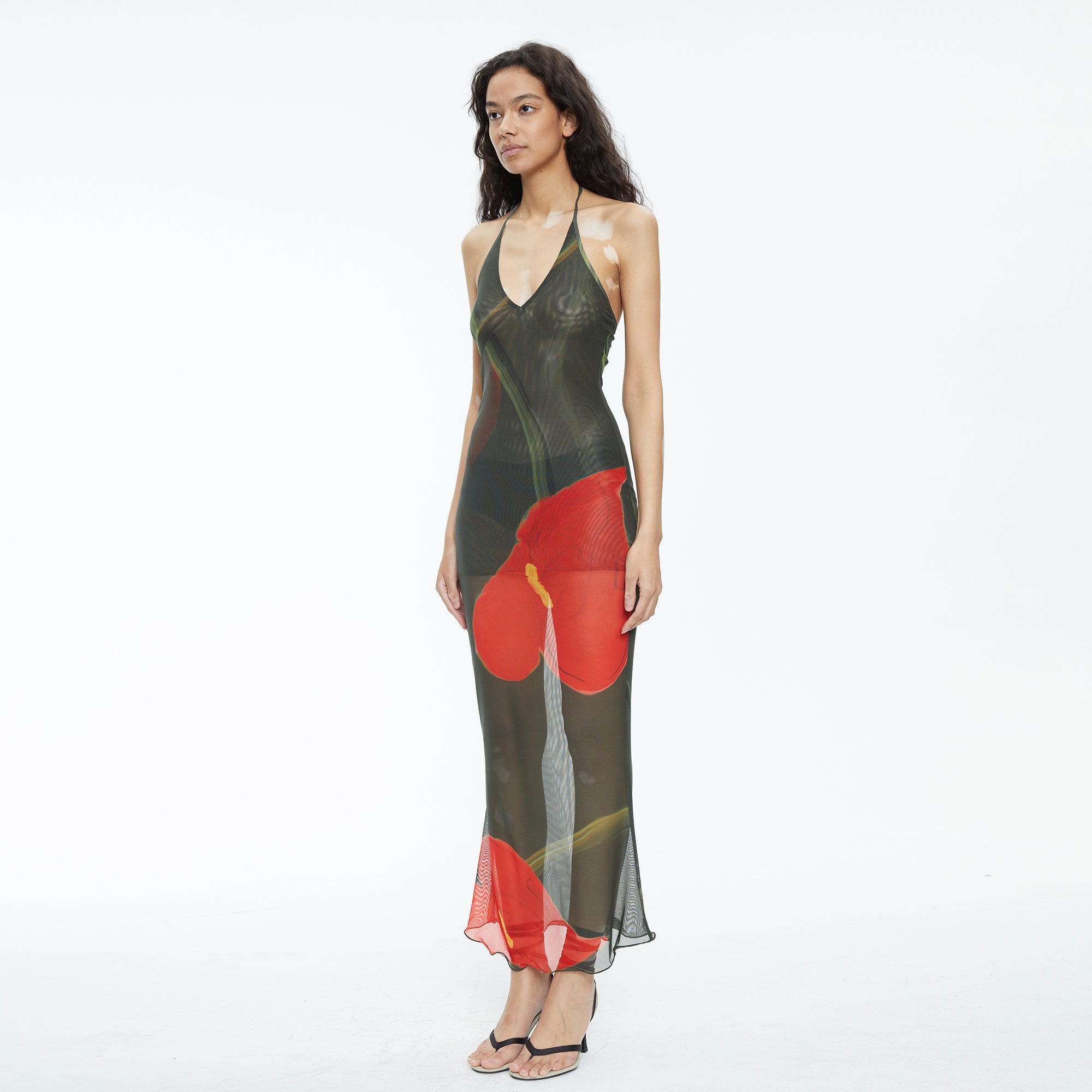 SCARLET SAGE Floral Mesh Halter Backless Fitted Dress