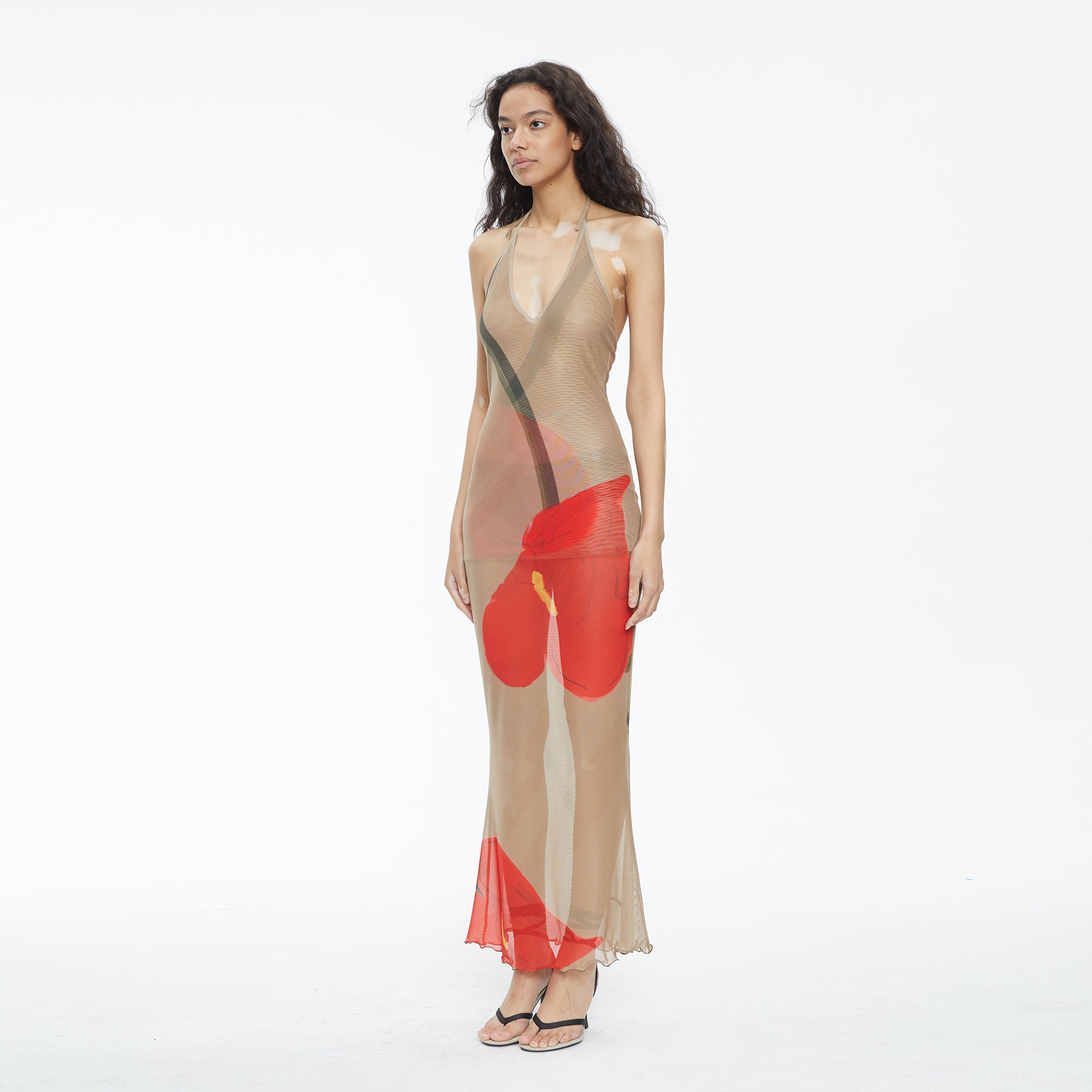 SCARLET SAGE Floral Mesh Halter Backless Fitted Dress