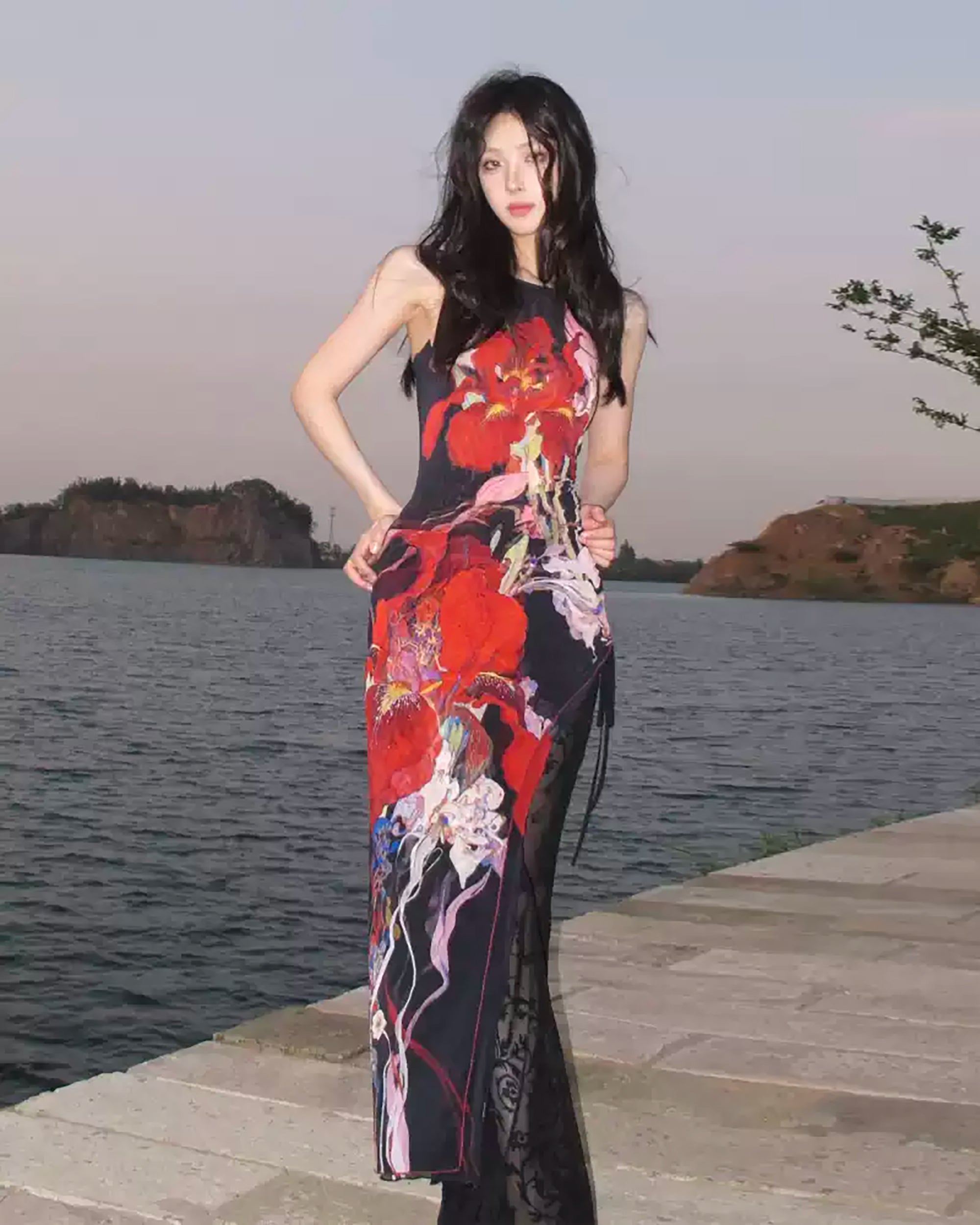 WHYNOTDANCE Asymmetrical Halter Full-Print Mesh Backless Dress