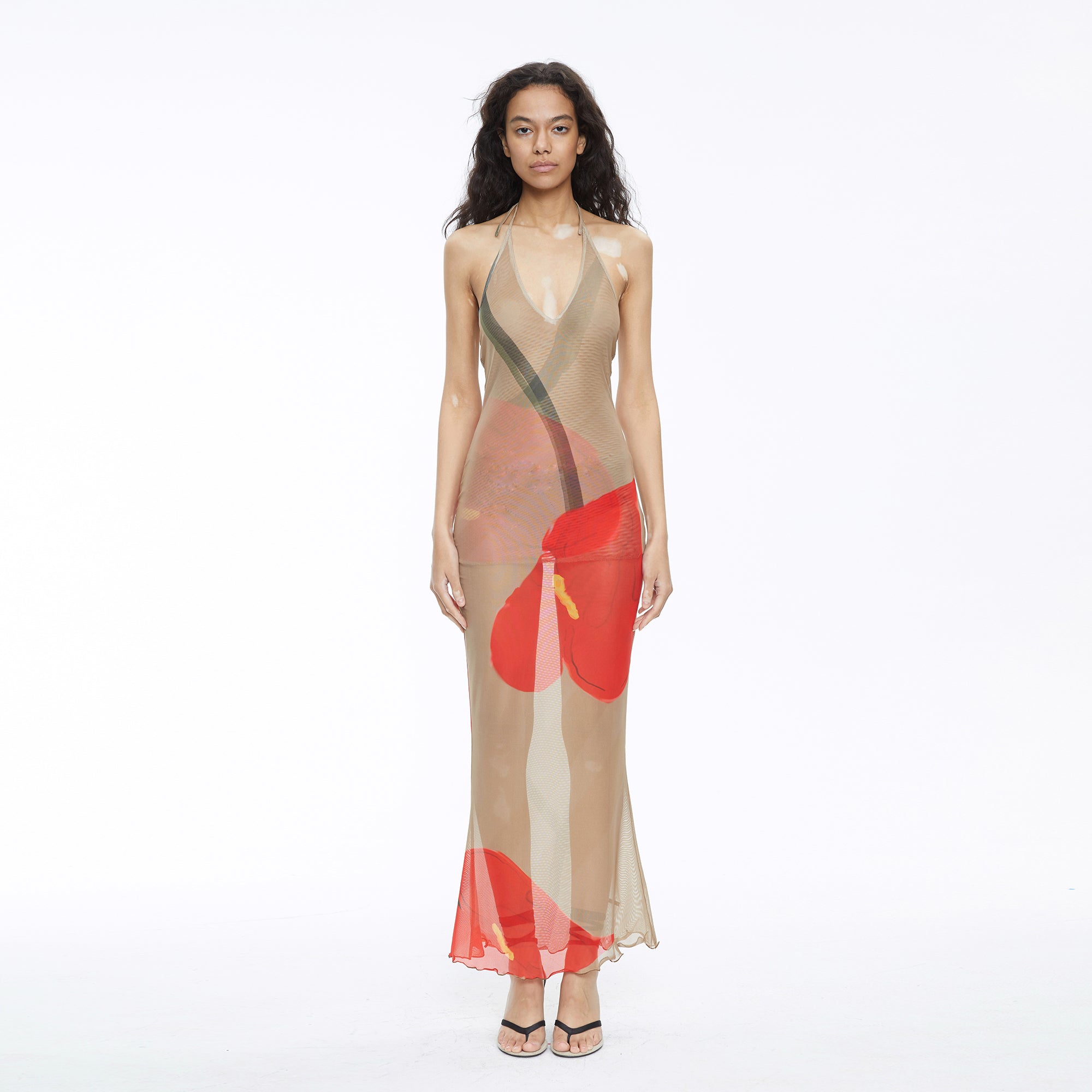 SCARLET SAGE Floral Mesh Halter Backless Fitted Dress