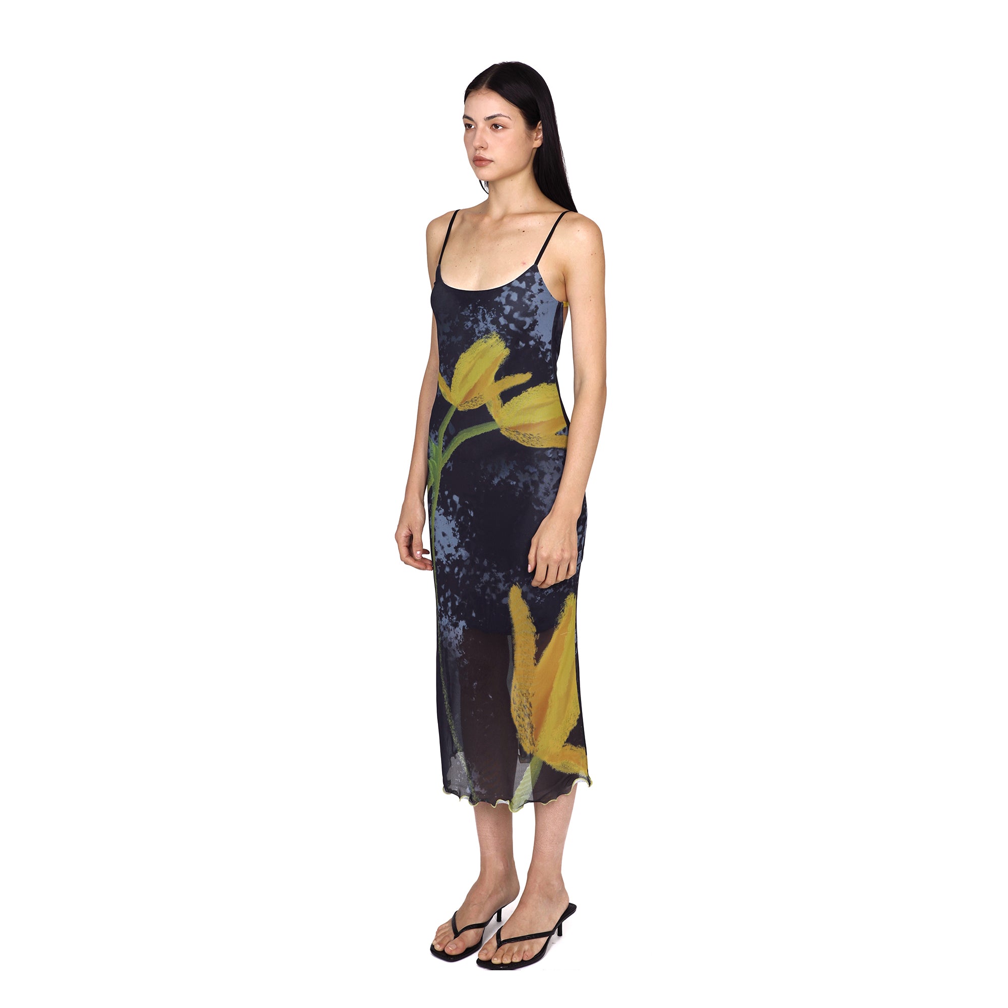 SCARLET SAGE Tulip Full-Print Mesh Open-Back Slip Dress