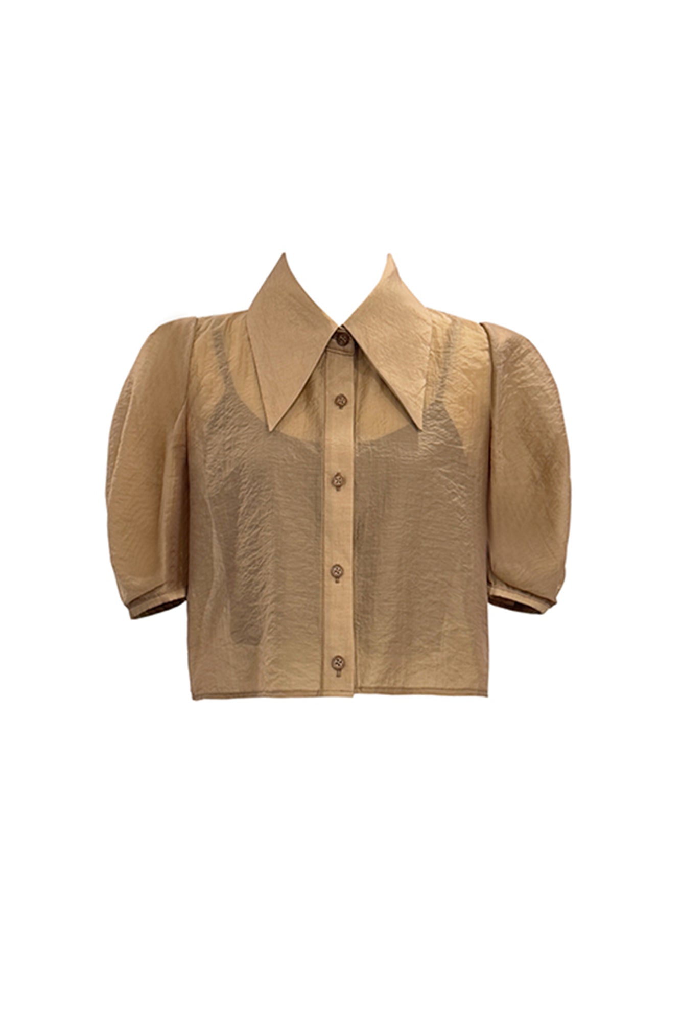 LAYERS Sheer Puff Sleeve Cropped Half Shirt
